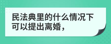 民法典里的什么情况下可以提出离婚，