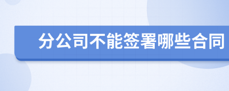 分公司不能签署哪些合同