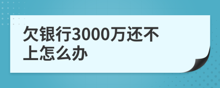 欠银行3000万还不上怎么办