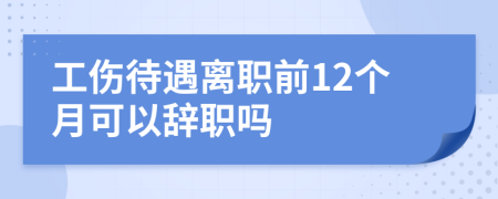 工伤待遇离职前12个月可以辞职吗