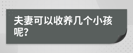 夫妻可以收养几个小孩呢？