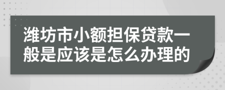 潍坊市小额担保贷款一般是应该是怎么办理的