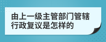 由上一级主管部门管辖行政复议是怎样的