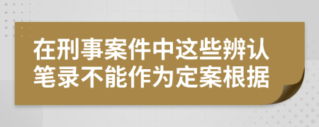 在刑事案件中这些辨认笔录不能作为定案根据