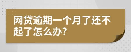网贷逾期一个月了还不起了怎么办?