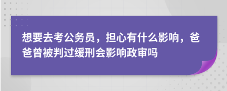 想要去考公务员，担心有什么影响，爸爸曾被判过缓刑会影响政审吗