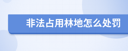 非法占用林地怎么处罚