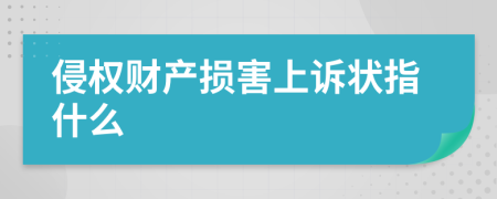 侵权财产损害上诉状指什么