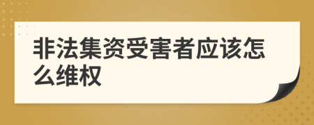 非法集资受害者应该怎么维权