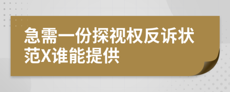 急需一份探视权反诉状范X谁能提供