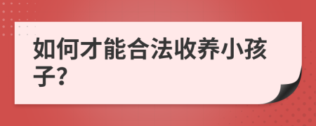 如何才能合法收养小孩子？