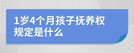 1岁4个月孩子抚养权规定是什么