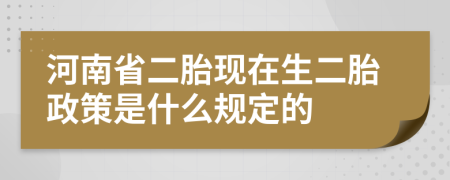 河南省二胎现在生二胎政策是什么规定的