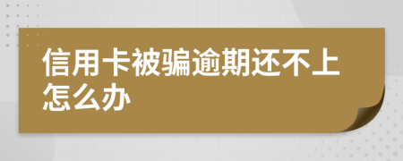 信用卡被骗逾期还不上怎么办