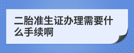 二胎准生证办理需要什么手续啊