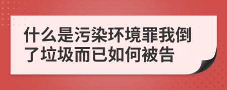 什么是污染环境罪我倒了垃圾而已如何被告