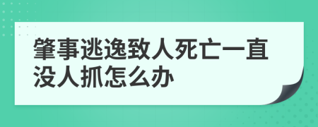肇事逃逸致人死亡一直没人抓怎么办