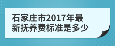 石家庄市2017年最新抚养费标准是多少