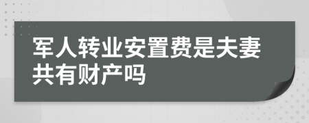 军人转业安置费是夫妻共有财产吗