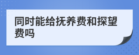 同时能给抚养费和探望费吗