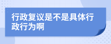 行政复议是不是具体行政行为啊