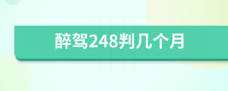 醉驾248判几个月