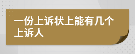 一份上诉状上能有几个上诉人