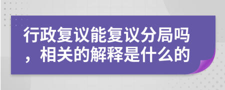 行政复议能复议分局吗，相关的解释是什么的