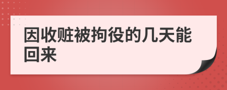 因收赃被拘役的几天能回来