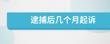 逮捕后几个月起诉