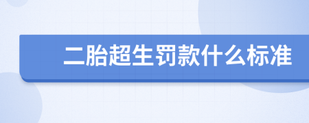 二胎超生罚款什么标准