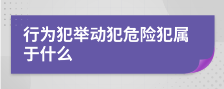 行为犯举动犯危险犯属于什么