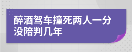 醉酒驾车撞死两人一分没陪判几年