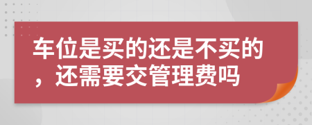 车位是买的还是不买的，还需要交管理费吗