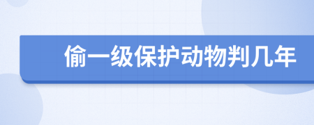 偷一级保护动物判几年