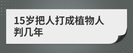 15岁把人打成植物人判几年