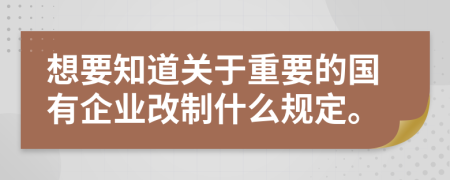 想要知道关于重要的国有企业改制什么规定。