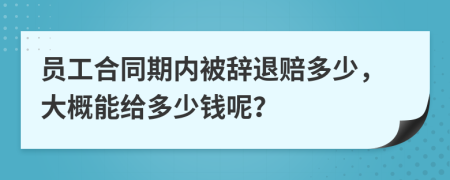员工合同期内被辞退赔多少，大概能给多少钱呢？