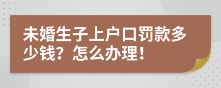 未婚生子上户口罚款多少钱？怎么办理！