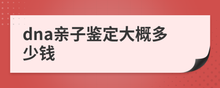 dna亲子鉴定大概多少钱