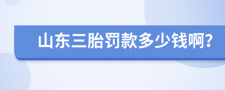 山东三胎罚款多少钱啊？