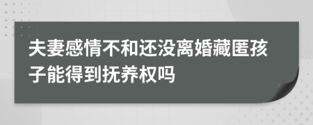 夫妻感情不和还没离婚藏匿孩子能得到抚养权吗