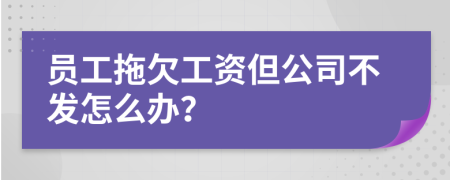 员工拖欠工资但公司不发怎么办？