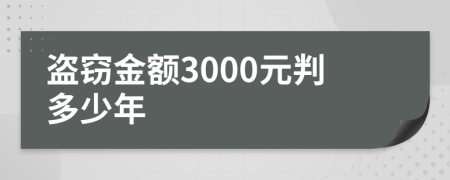 盗窃金额3000元判多少年