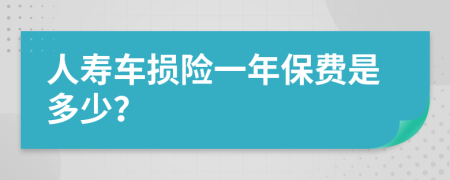 人寿车损险一年保费是多少？