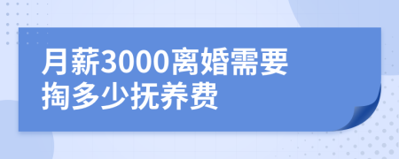 月薪3000离婚需要掏多少抚养费