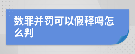 数罪并罚可以假释吗怎么判