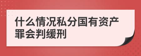 什么情况私分国有资产罪会判缓刑