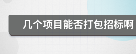几个项目能否打包招标啊
