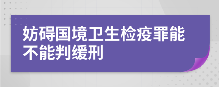 妨碍国境卫生检疫罪能不能判缓刑